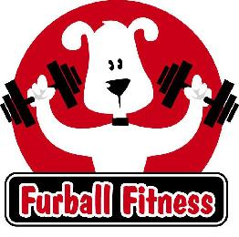 FURBALL FITNESS logo