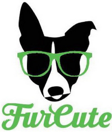 FURCUTE logo