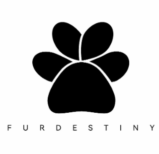 FURDESTINY logo