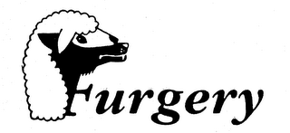 FURGERY logo