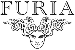 FURIA logo