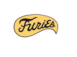 FURIES logo