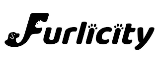 FURLICITY logo