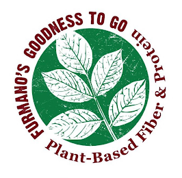 FURMANO'S GOODNESS TO GO PLANT-BASED FIBER & PROTEIN logo