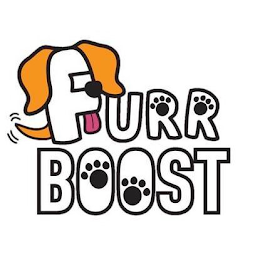 FURR BOOST logo