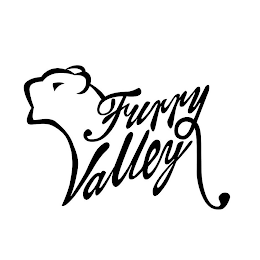 FURRYVALLEY logo