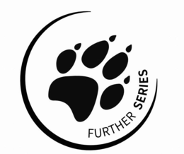 FURTHER SERIES logo