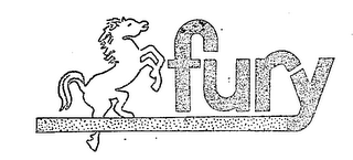 FURY logo