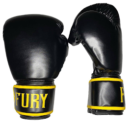 FURY logo