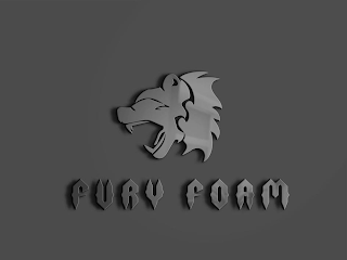 FURY FOAM logo