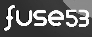 FUSE53 logo