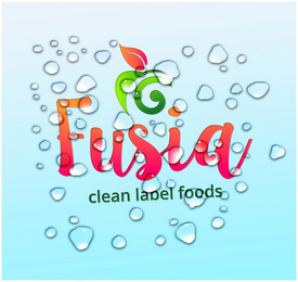 FUSIA CLEAN LABEL FOODS logo