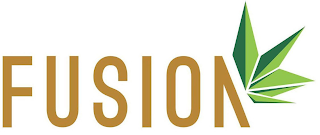 FUSION logo