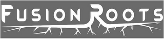 FUSION ROOTS logo