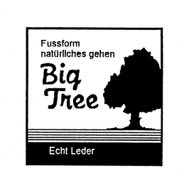 FUSSFORM NATURLICHES GEHEN BIG TREE ECHT LEDER logo