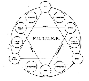 F.U.T.U.R.E. GOALS DESIGN IMPLEMENTATION logo