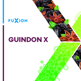 FUXION GUINDON X logo