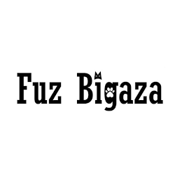 FUZ BIGAZA logo