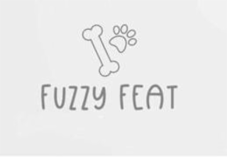 FUZZY FEAT logo