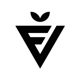 FV logo