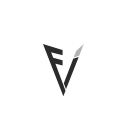 FV logo