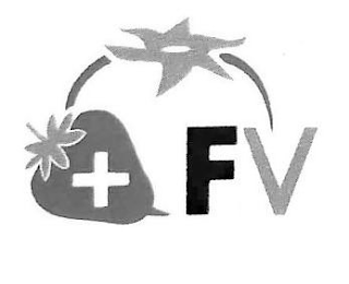 FV logo