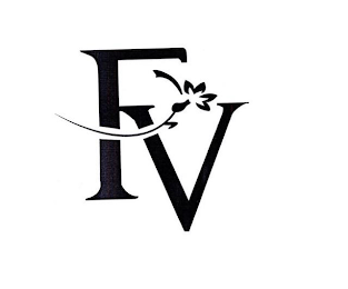 FV logo