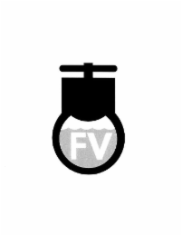 FV logo