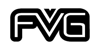 FVG logo