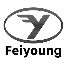 FY FEIYOUNG logo