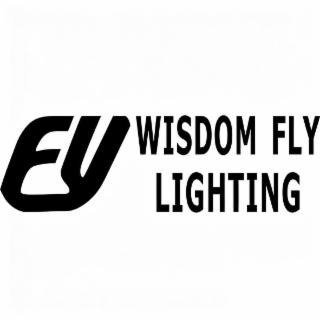 FY WISDOM FLY LIGHTING logo