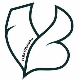 FYB FLEXYOURBRO logo