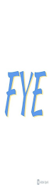 FYE logo