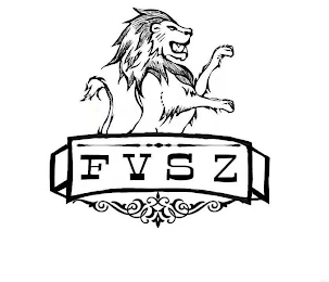 FYSZ logo