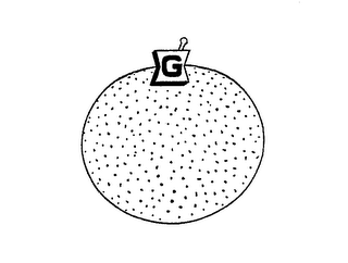 G logo