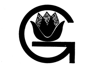 "G" logo