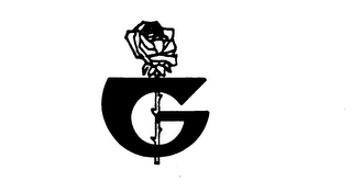 G logo