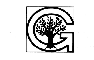 G logo