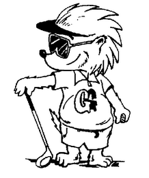 G logo