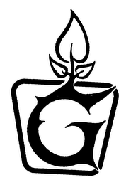 G logo