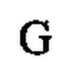 G logo