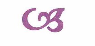 G logo