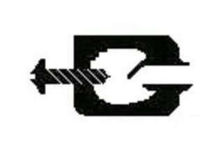 G logo