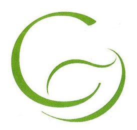 G logo