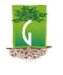 G logo