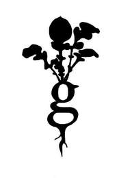 G logo