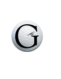 G logo
