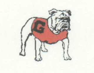 G logo