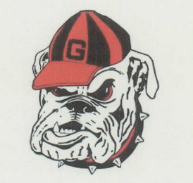 G logo