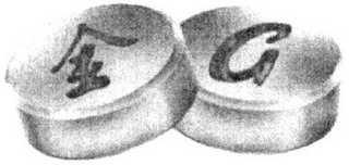 G logo